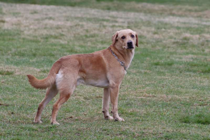 8.5.2010 117c.jpg